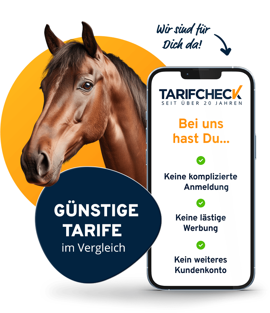 Günstige Tarife im Vergleich